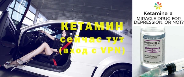 индика Горно-Алтайск