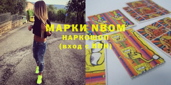 индика Горно-Алтайск