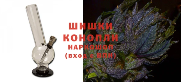 гидра Гусь-Хрустальный