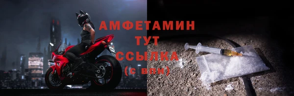 индика Горно-Алтайск
