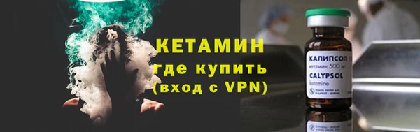 индика Горно-Алтайск