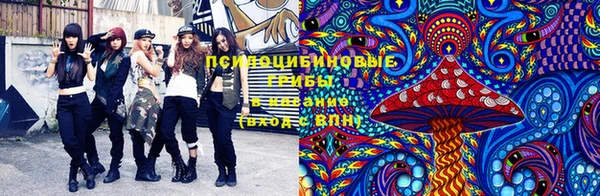 индика Горно-Алтайск