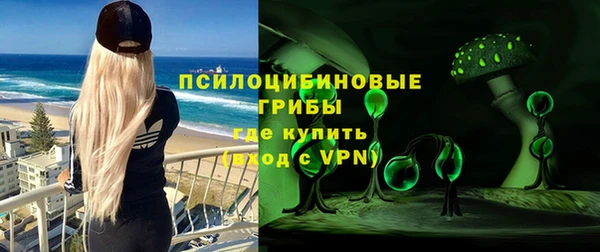 шишки Горнозаводск