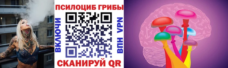 Купить  Светлый  Псилоцибиновые грибы Magic Shrooms 